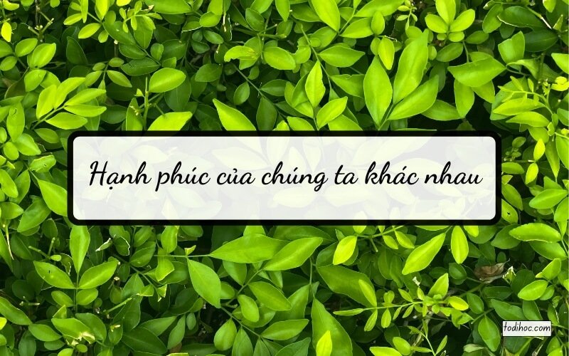 Hạnh phúc của chúng ta khác nhau